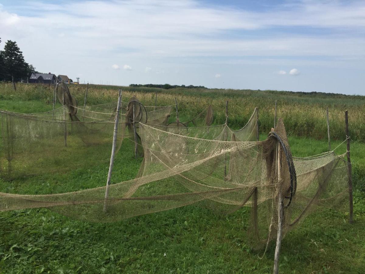 Sodyba Almadojus Dreverna Exteriér fotografie